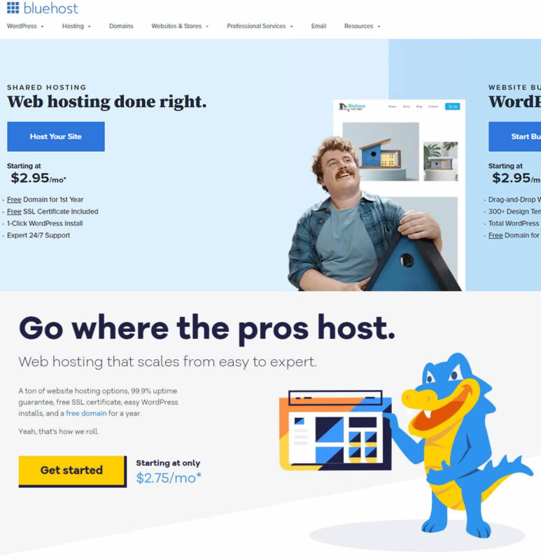 Bluehost and HostGator Web Hosting Plans